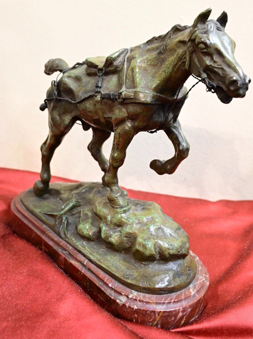 Gustave Colsoulle - Cavallo in Bronzo